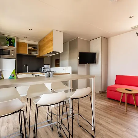 Muschel 57 * Scharbeutz