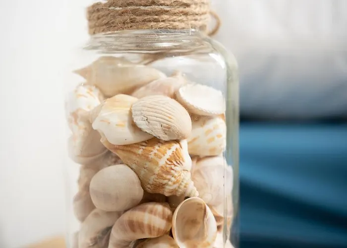 Muschel 57 Scharbeutz